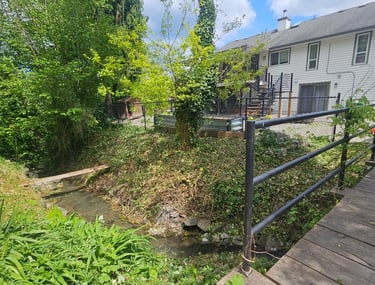 a stream with plants cut back exposing the stream. There is a white house in the background