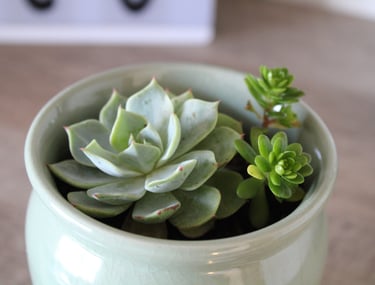 Consulta particular espacio