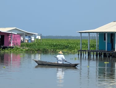 The wetlands of the Ciénaga Grande 