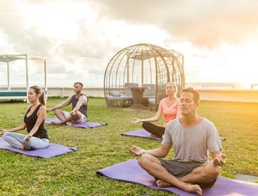 Yoga Poses for the Beginners