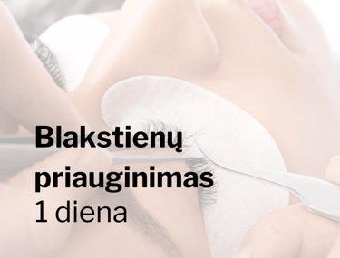 Blakstienų priauginimas