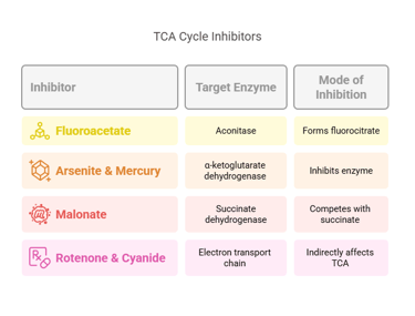 TCA-Inhibitors