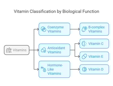 classification based on biological function
