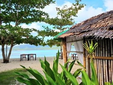 Beach 3D2N Linapacan Island Tour