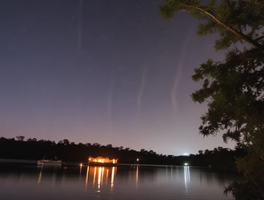 Firefly watching Puerto Princesa