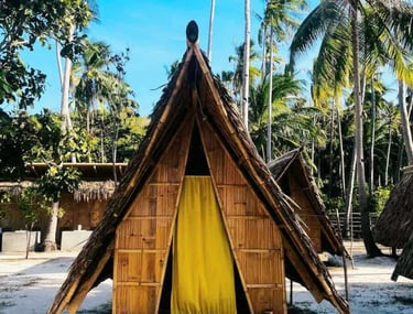 3D2N hut accommodation Linapacan private island