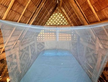 3D2N hut accommodation Linapacan private island