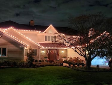 Professional Holiday Lighting
