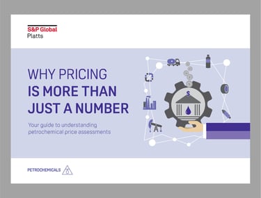 Digital interactive e-Book