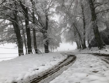 Route de montagne paisible dans les Pyrénées en hiver, nature et silence près de Foix en Ariège