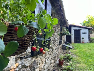 Charmante maison de vacances dans les Pyrénées avec jardin verdoyant et nature autour de Foix