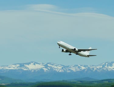 Ferry Flights, Acceptance Flight, MCF Flight Airbus & ATR