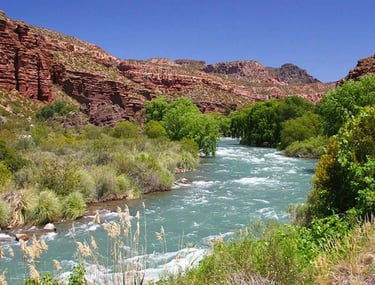 Verano en San Rafael Mendoza