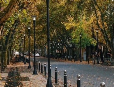 Otoño en San Rafael Mendoza