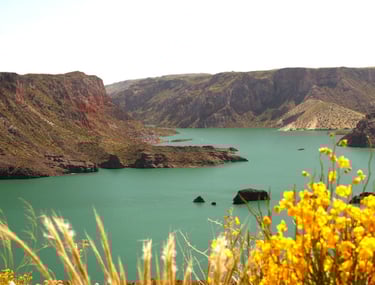 Primavera en San Rafael Mendoza