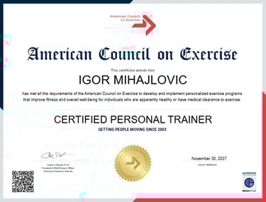 Igor Mihajlovic ACE Certified Personal Trainer