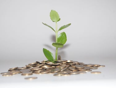 Epargner et capitaliser