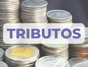 imagem da palavra tributos