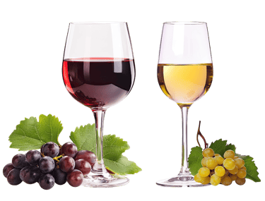 glass of red and white wine glass in the vineyard