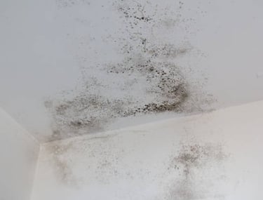 air quality testing mold testing