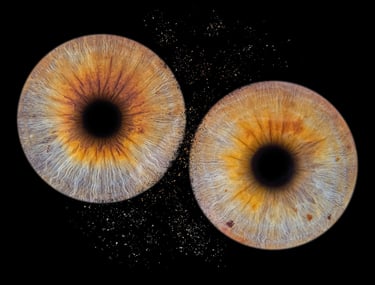 photo iris couple Bordeaux