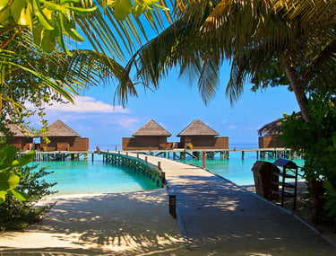 Tropical beach path to ocean bungalows with palm trees and aqua water—Maldives overwater resort accommodations