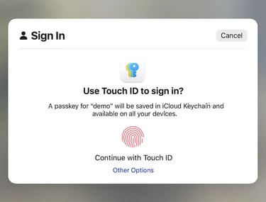 demo interface showing Touch ID biometric sign-in for passwordless authentication