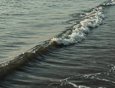 An artistic shot of Mumbai coastal waves at dawn, in soft sage green and deep charcoal colors, representing a calm and modern aesthetic.