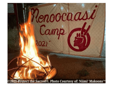 Protect the Sacred® Security Niimi' Makoons™ Indigenous Homeless Women Minneapolis  Minnesota Ojibwe