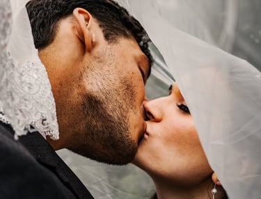 bride and groom portrait, kissing, under the veil shot