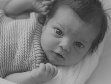 newborn baby looking up at camera, taken in Adelaide studio