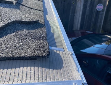 fresh installed roof guards