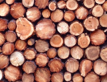 Wood log ends in a stacked pile