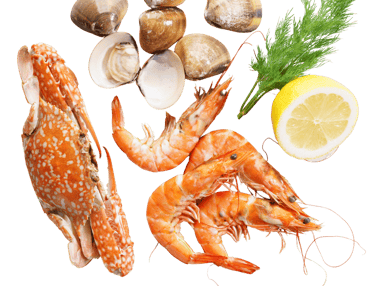 BDP+Partners, consulting, marketing, f&b, hospitality, Tokyo, Japan, Vietnam