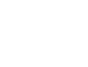 Decorative graphic element