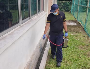 Larvicide Treatment