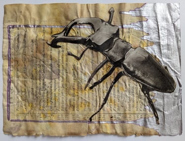 vintage scarabeo
