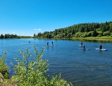 Paddle board lesson on Llyn Pendam with sunny skies