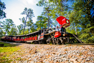 Noccalula Falls Park train Copyright Noccalula Falls Park
