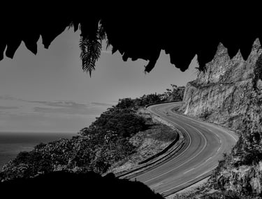 Ganador noviembre BN