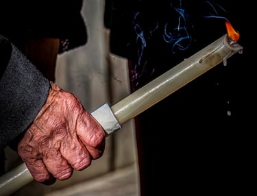 Ganador noviembre color