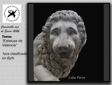 Primer Clasificado Concurso Mensual Enero 2026 BN