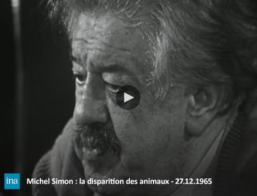 Pesticides extinction de masse biodiversité