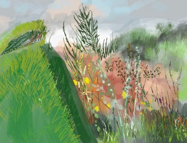 Digital drawing: Great Dixter Peacock Garden high summer