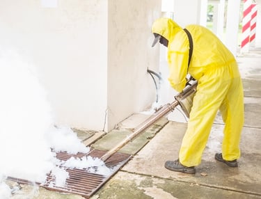 Thermal Fogging treatment