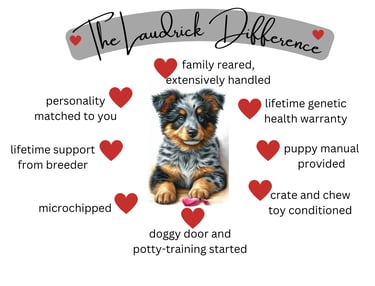 the Laudrick Aussie difference