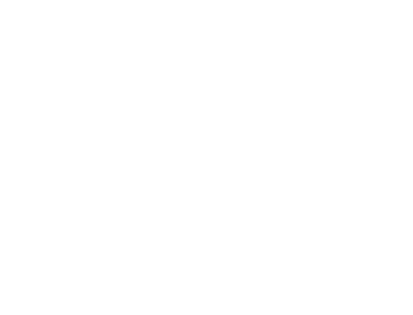 Decorative graphic element