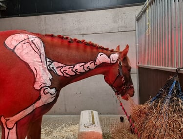 Painted horse shoulder, leg and spine