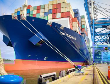 laivų plovimas dronu