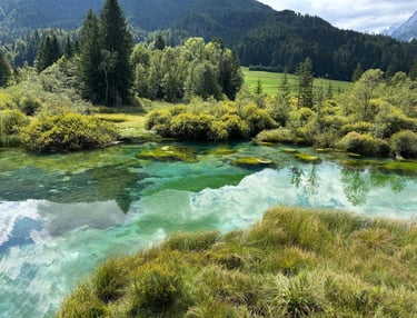 Slovénie - Réserve naturelle de Zelenci